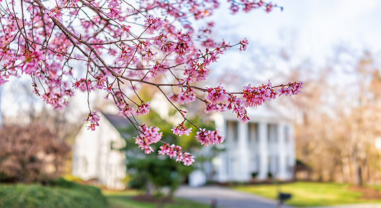 Spring Presents Sellers with a Golden Opportunity